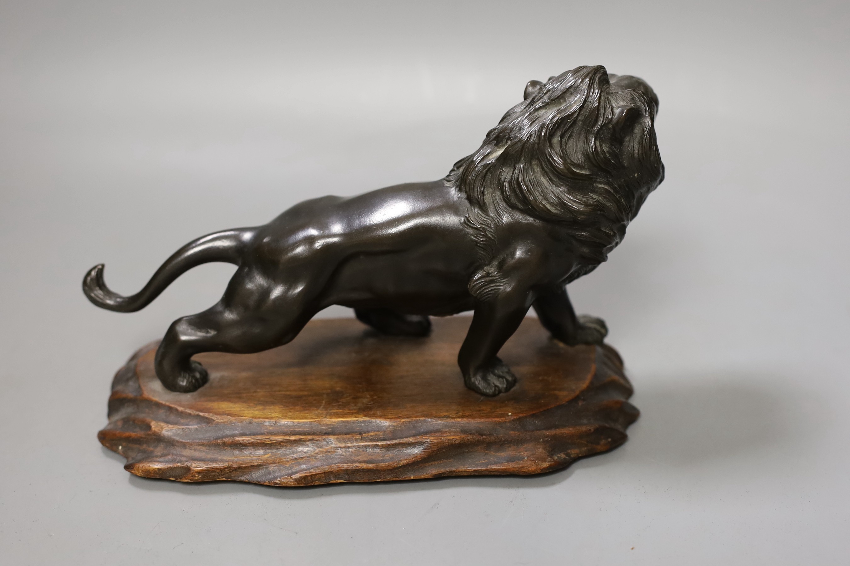 A Japanese bronze model of a lion, Meiji period, signed tablet to underside of torso. 22cm long